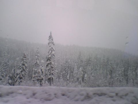 1993 Ford Bronco - Winter scene with snow-covered trees and a Supermotors.net logo visible.