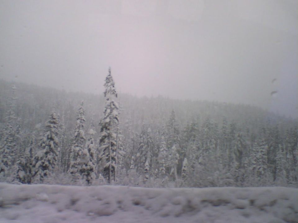 Snowy forest with snow-covered trees and a snowy embankment in the foreground. Supermotors.net logo in the lower right