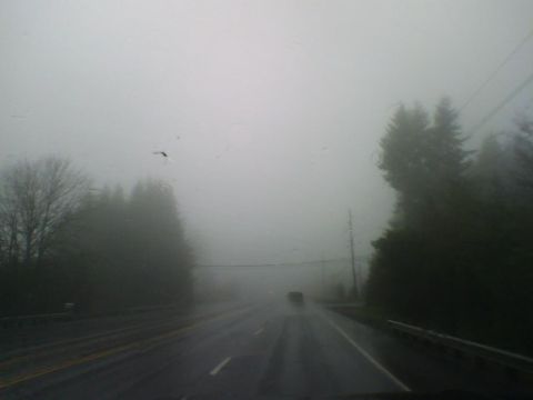 1993 Ford Bronco - Visibility is extremely low due to fog and rain on this road.