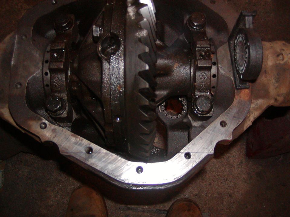 Differential gears and housing