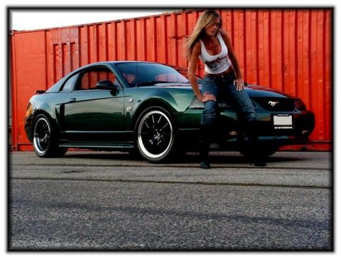 2002 Ford Mustang photo