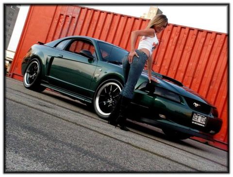 2002 Ford Mustang photo