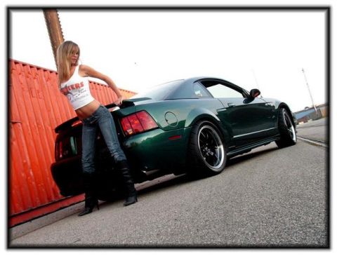 2002 Ford Mustang photo