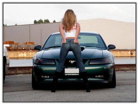 2002 Ford Mustang photo