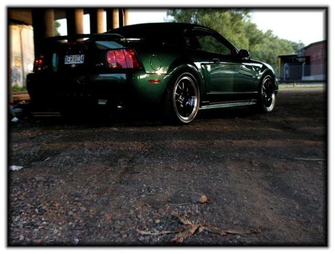 2002 Ford Mustang photo