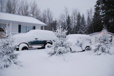 1996 Ford Bronco - Two vehicles, including a 1996 Ford Bronco, are completely covered in snow during a winter storm.