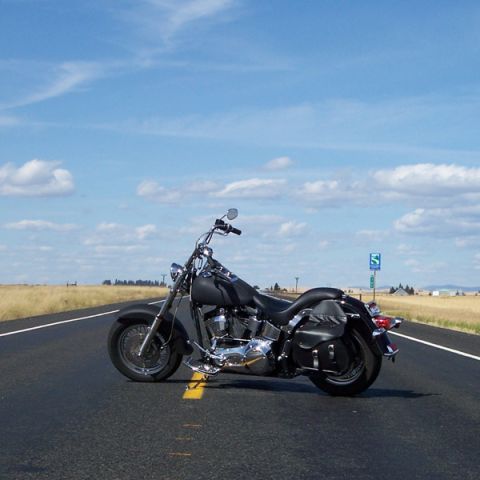 2000 Harley-Davidson Softail “Black Betty - Back In Black!!!”