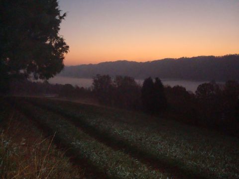 1995 Ford Bronco - A misty valley and rolling hills are visible at dawn, with a field in the foreground.