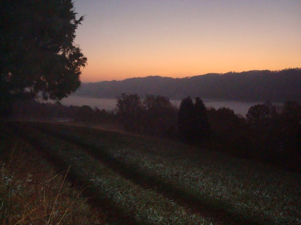 misty valley and hills at sunrise, with a field in the foreground