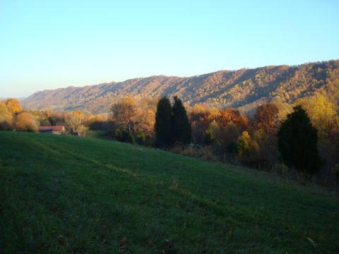 1995 Ford Bronco - A scenic view of a rural landscape during autumn, with hills covered in colorful trees and a grassy field in the foreground.