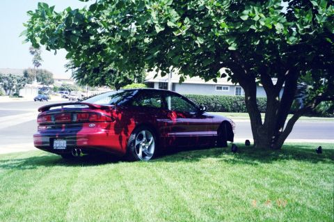 1996 Ford Probe - A red coupe with a spoiler is parked on the grass under a tree, showing its rear end.