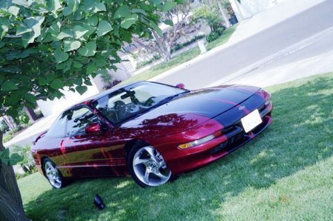 1996 Ford Probe - A red and black 1996 Ford Probe is parked on a grassy lawn under a tree.