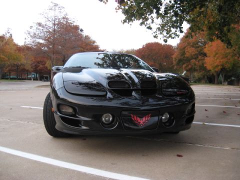 2002 Pontiac Trans Am - Front view of a black Pontiac Trans Am with a red bird emblem on the grille.