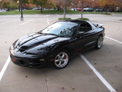 2002 Pontiac Trans Am - A black 2002 Pontiac Trans Am is parked in a lot with trees in the background.