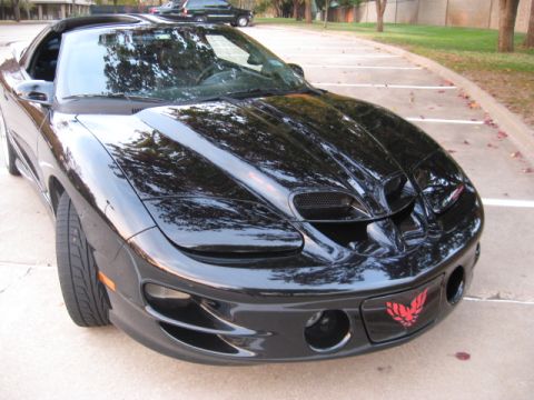 2002 Pontiac Trans Am - A black Pontiac Trans Am is parked in a lot, showing its distinctive front end with a red bird emblem.