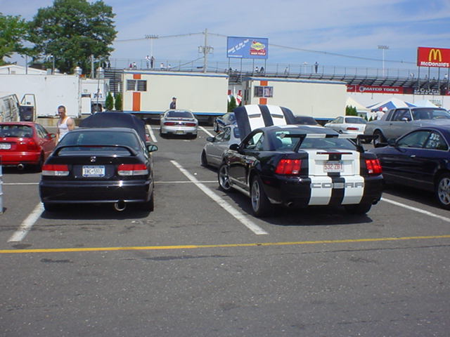 Black and white Ford Mustang Cobra parked in a lot with other cars