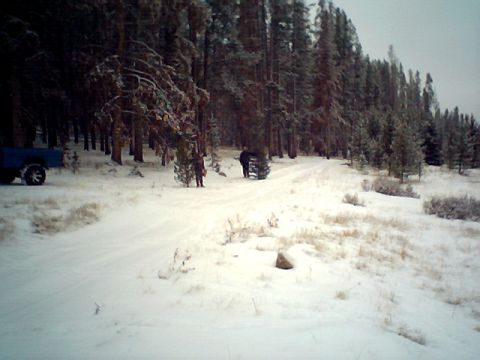 1990 Ford Bronco - A blue pickup truck is parked in a snow-covered forest as people carry a Christmas tree through the trees.
