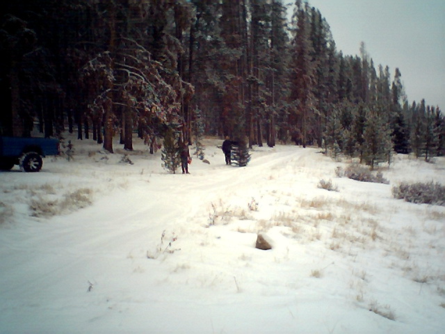 Blue pickup truck parked in snowy forest with people carrying a Christmas tree