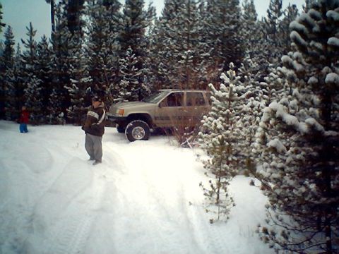 1990 Ford Bronco - end of the trail