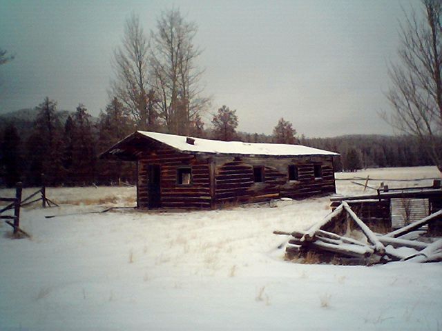 log cabin in snowy field with trees in background