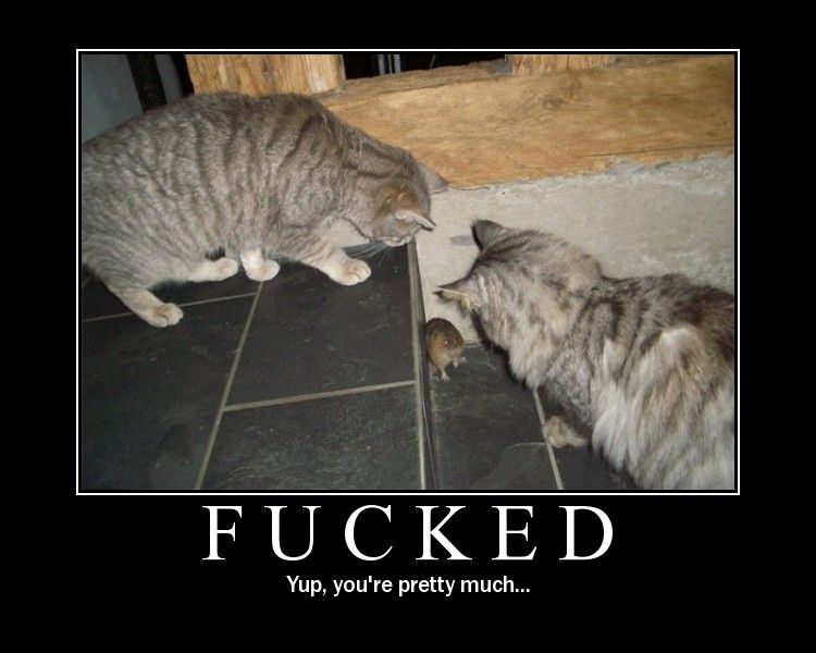 Demotivational poster showing two cats cornering a mouse on a tile floor