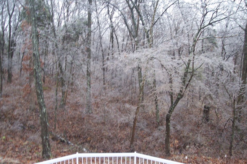 Trees covered in ice after a storm, with a white railing in the foreground