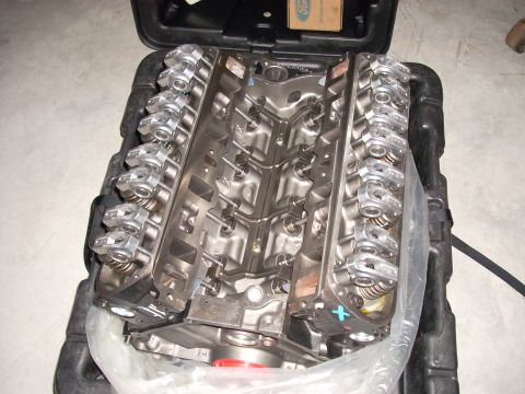 1991 Ford Mustang - A Ford V8 engine is shown inside a black carrying case, with its valve covers removed.