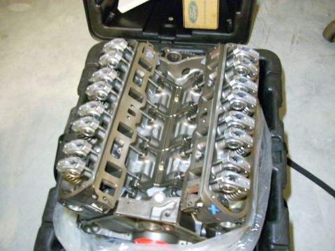 1991 Ford Mustang - A Ford V8 engine is shown with its valve covers removed, resting inside a black carrying case.