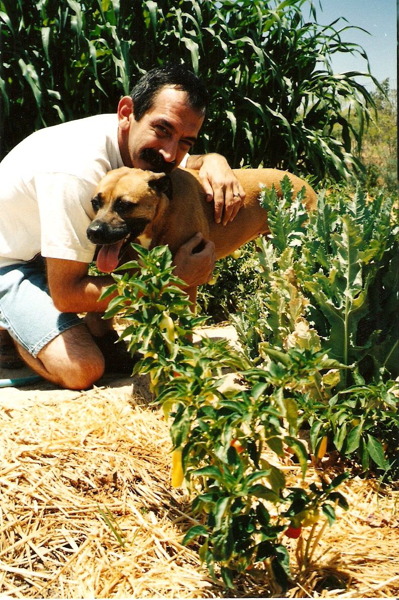 Man kneeling and hugging a dog in a garden with corn stalks and pepper plants