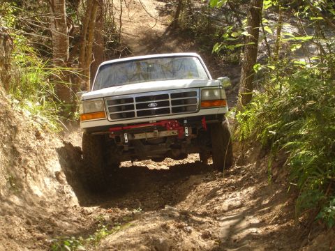 1989 Ford Bronco - A vehicle navigates a wooded path, its front grille and headlights visible.
