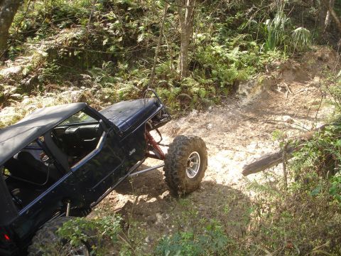 1989 Ford Bronco - An off-road vehicle is captured in a natural, outdoor environment, suggesting recreational use.