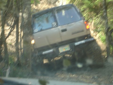 1989 Ford Bronco - This vehicle is navigating a wooded trail, with its rear end visible as it drives along the path.