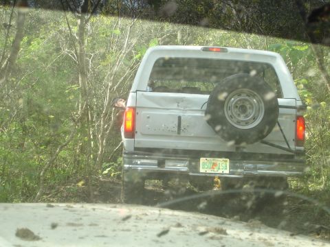 1989 Ford Bronco - Rear view of a white 1987 Ford Bronco driving off-road, with a spare tire mounted on the tailgate.