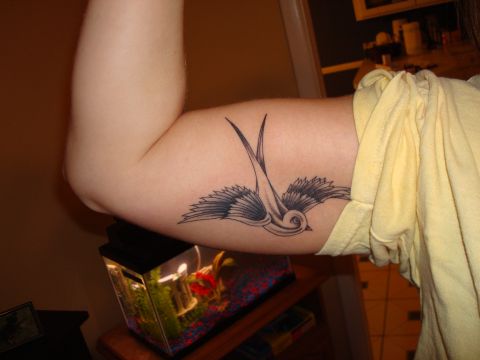 1992 Ford Bronco - A swallow tattoo is visible on an arm, with a small fish tank and Supermotors.net watermark in the background.