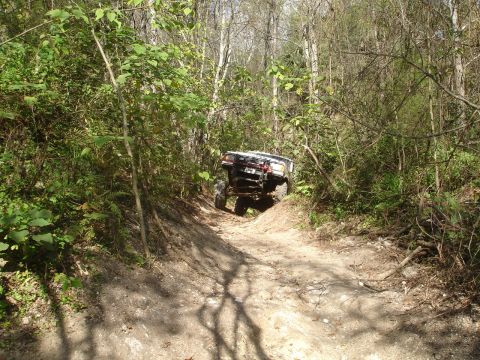 1989 Ford Bronco - Vehicle driving on a narrow, overgrown dirt path in a wooded area.