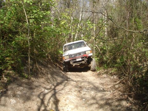 1989 Ford Bronco - This off-road vehicle navigates a challenging dirt trail surrounded by dense foliage.