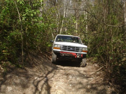1989 Ford Bronco - White Ford Bronco navigating a wooded dirt trail.