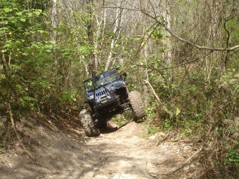 1989 Ford Bronco - A blue Jeep Wrangler navigates a steep, wooded trail with large off-road tires.