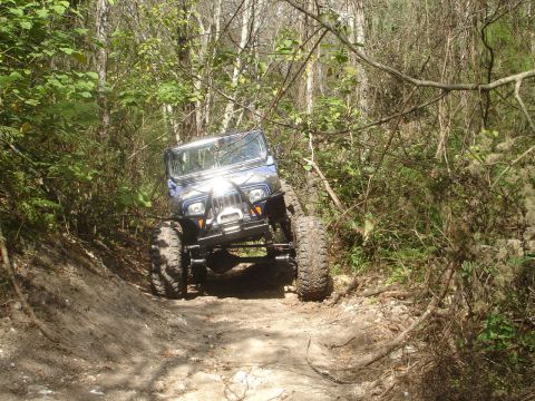 1989 Ford Bronco - An off-road SUV with oversized tires makes its way through a dense forest on a dirt path.