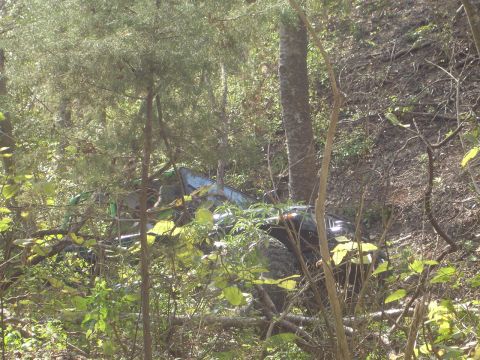 1989 Ford Bronco - An off-road vehicle lies on its side amidst dense forest vegetation.