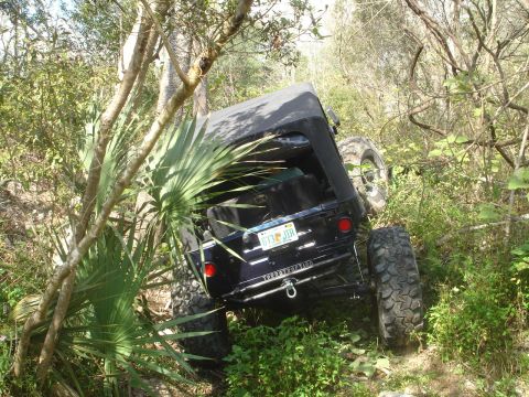 1989 Ford Bronco - A black Jeep Wrangler is seen tilted off-road, with its rear bumper and Florida license plate visible amidst foliage.