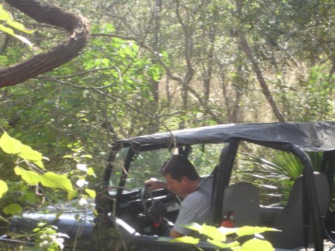 1989 Ford Bronco - Driver navigates an off-road vehicle through dense foliage and trees.