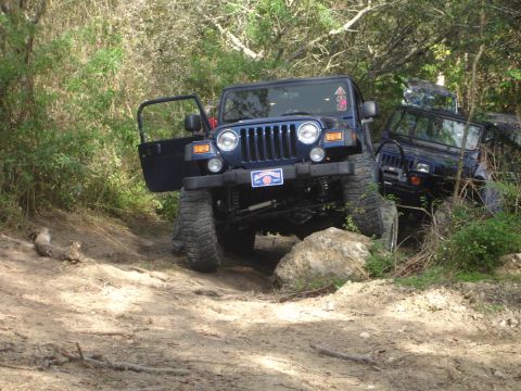 1989 Ford Bronco - Two blue Jeep Wranglers navigate a wooded, off-road trail with rocky obstacles.