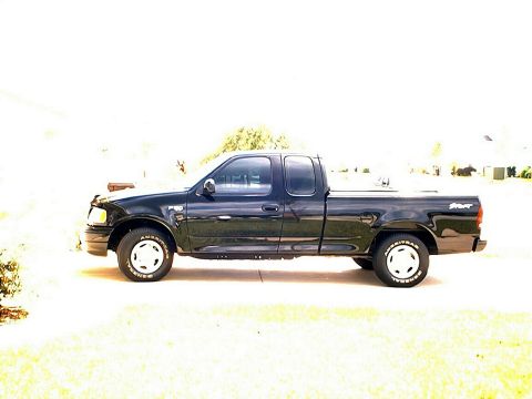 2002 Ford F-150 photo