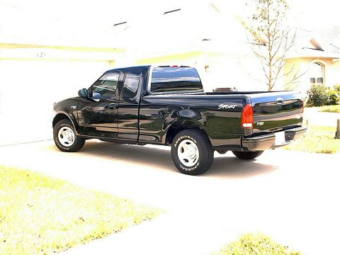 2002 Ford F-150 photo