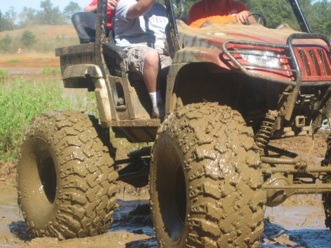 1994 Ford Bronco - Arctic cat RZR
