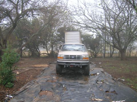 1996 Ford Bronco - A gold Ford F-Series truck is parked on a muddy, debris-strewn driveway under a cloudy sky.
