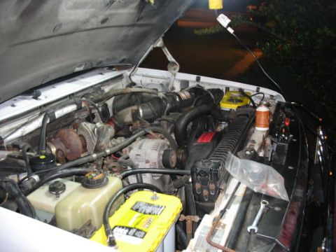 1995 Ford C-350 (Centurion Conversions) - The engine bay of a 1995 Ford C-350 (Centurion Conversions) is visible with the hood open, revealing the engine components.