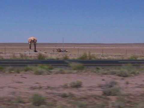 1995 Ford C-350 (Centurion Conversions) - A peculiar statue stands in a barren desert landscape, viewed from a passing vehicle.
