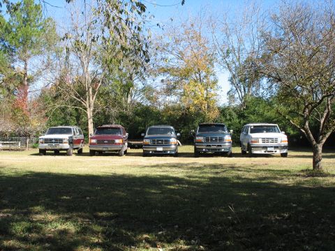 1995 Ford C-350 (Centurion Conversions) - A line of five Ford trucks, likely from the mid-1990s, are parked on a sunny day in a grassy area with trees in the background.
